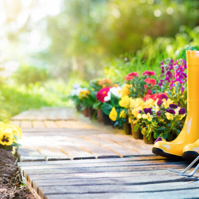 Learn All About The Health Benefits Of Gardening