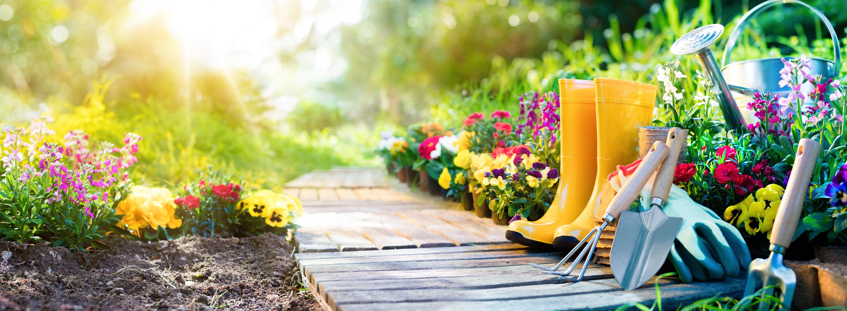 Learn All About The Health Benefits Of Gardening