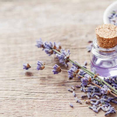 Top 4 Essential Oils That Are Safe For Pets