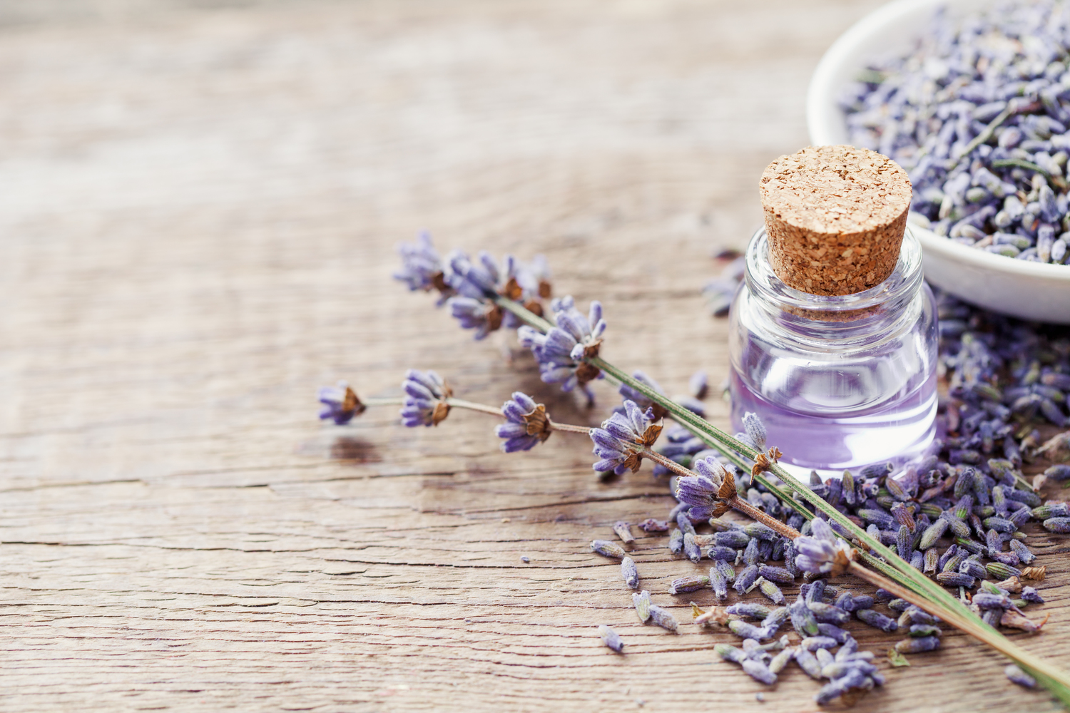 Top 4 Essential Oils That Are Safe For Pets