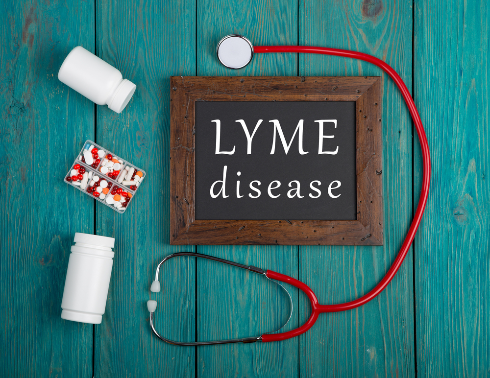 Lyme Disease &#8211; Treatment And Prevention